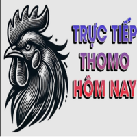 thomohomnayinfo 