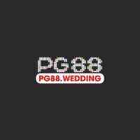 PG88 Wedding