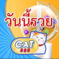 CAT888 