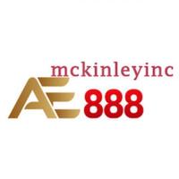AE888  mckinleyinc