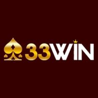 33wincamera camera