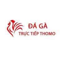 Đá Gà Trực Tiếp  Thomo Hôm Nay