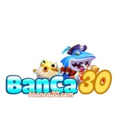 Banca30 v