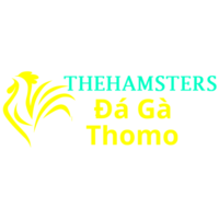 Đá Gà Trực Tiếp  Thomo