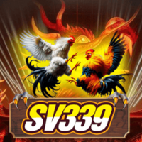 sv339 Daga