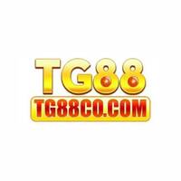 Tg88co Com