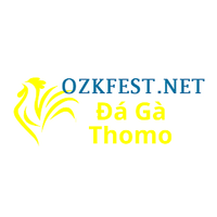 Da Ga Truc Tiep Thomo