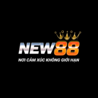 Nhà cái NEW88