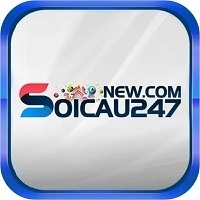 soicau247 newcom