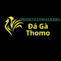 Đá Gà Trực Tiếp  Thomo