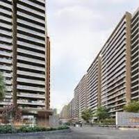 Prestige  Evergreen