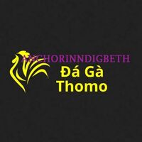 Đá Gà Trực Tiếp  Thomo