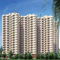 Prestige Evergreen  Brochure