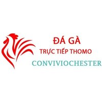 Đá Gà  Trực Tiếp Thomo