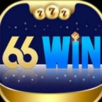 66WIN Vin