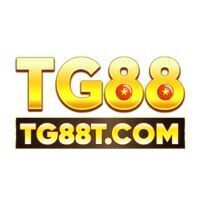 tg88t com
