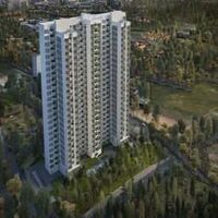 prestige forest edge