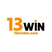13winbiz  Com