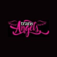 Trans Angels 