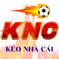 Tỷ Lệ Bóng Đá Kèo Nhà Cái: Tỷ Lệ Cược Và Cách Đặt Kèo
