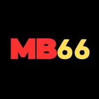66 66