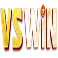 vswin autos