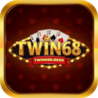 Twin68  beer
