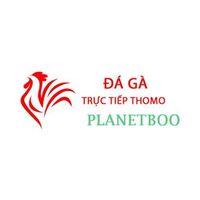 Đá Gà Trực Tiếp Thomo 