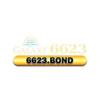 6623 bond