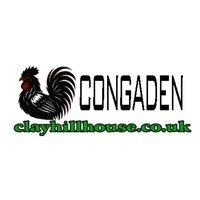 CONGADEN  TRỰC TIẾP ĐÁ GÀ THOMO