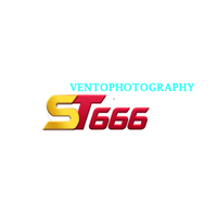 ST666  vento