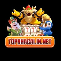 Topnhacaiin Net