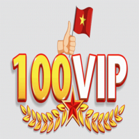 100vip cn com