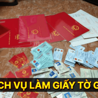 Bằng cấp Uy tín 365