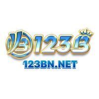 123b nnet