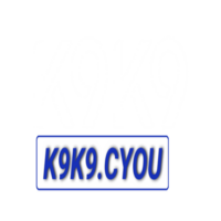 K9K9 
