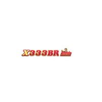 X333 