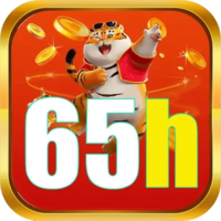 65h 