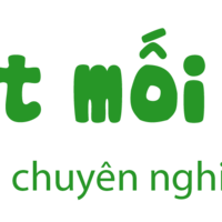 Dịch Vụ Diệt Mối