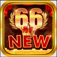 new 66