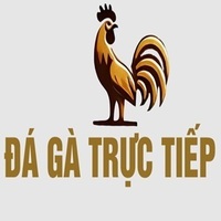 ĐÁ GÀ TRỰC TIẾP
