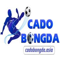 Cá Độ Bóng Đá