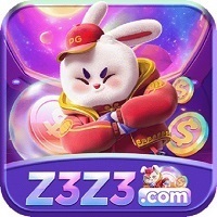 Z3Z3 