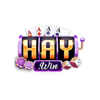 HAYWIN 