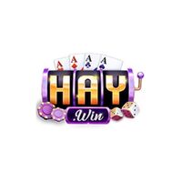 Haywin Blog