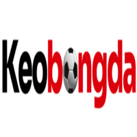lichthidaubongda3 