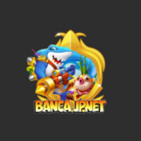 Banca jp net