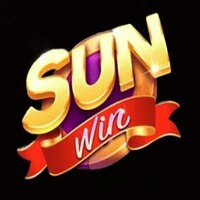 sunwin 10 biz