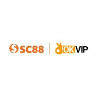 c88seo com