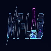 MT-Lab Verification Platform
